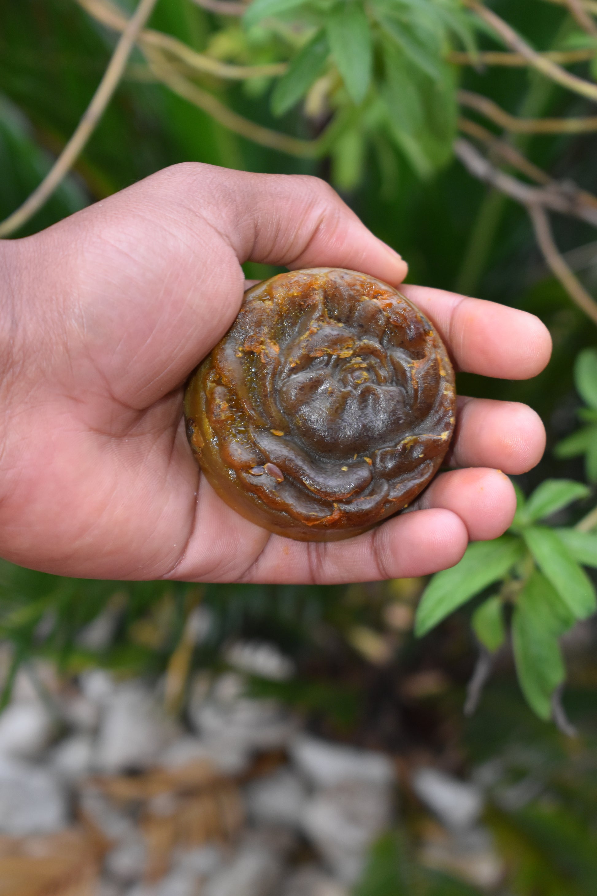 Turmeric & Oat Elixir - 2 Pack