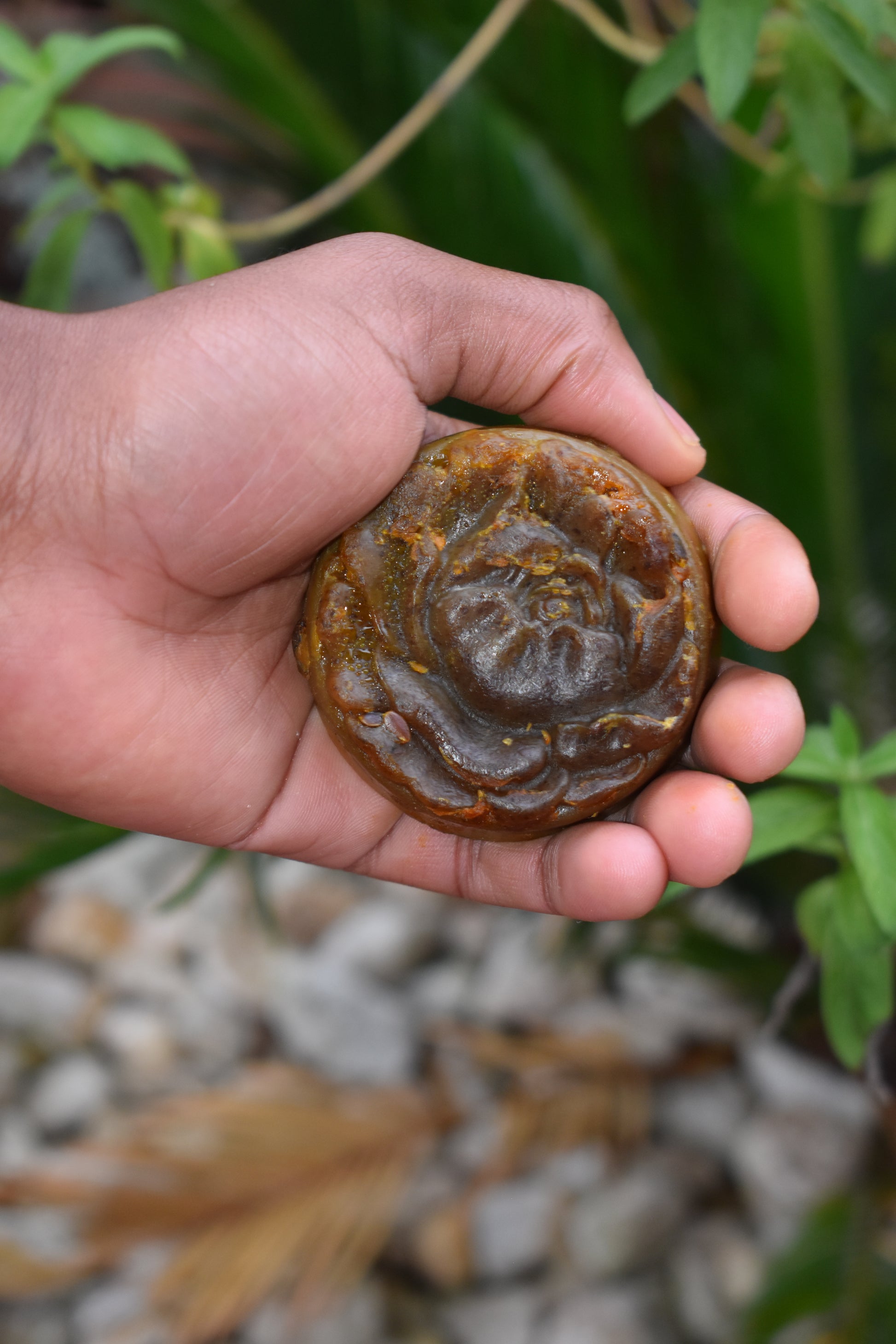 Turmeric & Oat Elixir - 2 Pack