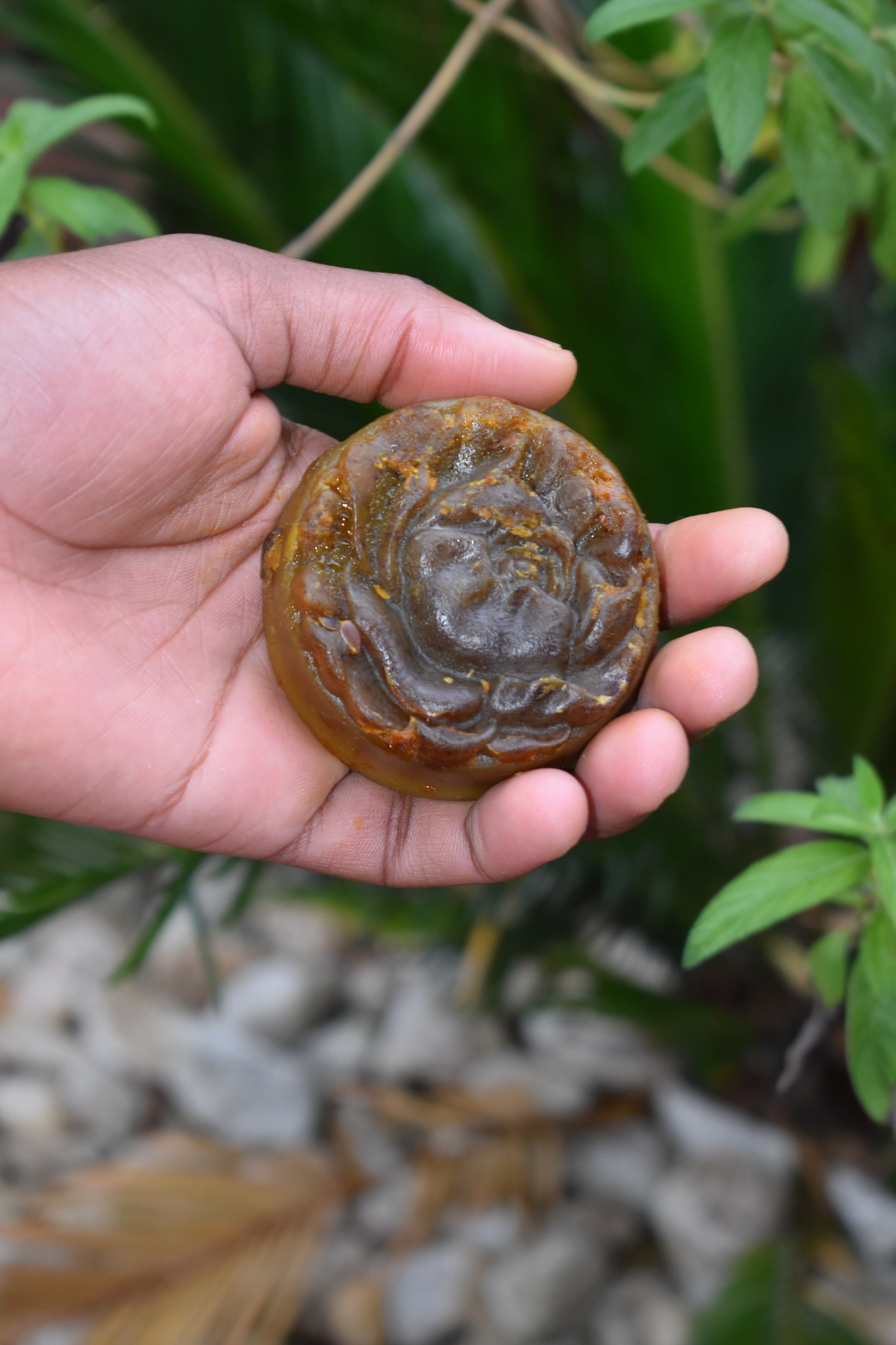 Turmeric & Oat Elixir - 2 Pack