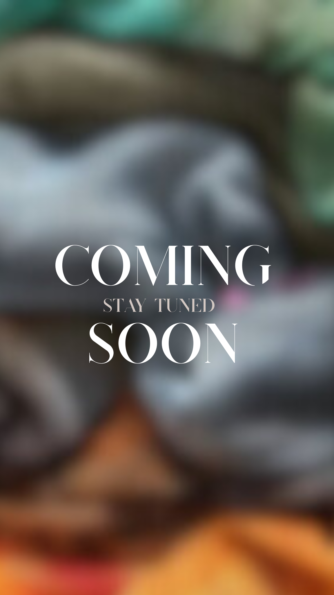 Authentic African Net Sponge