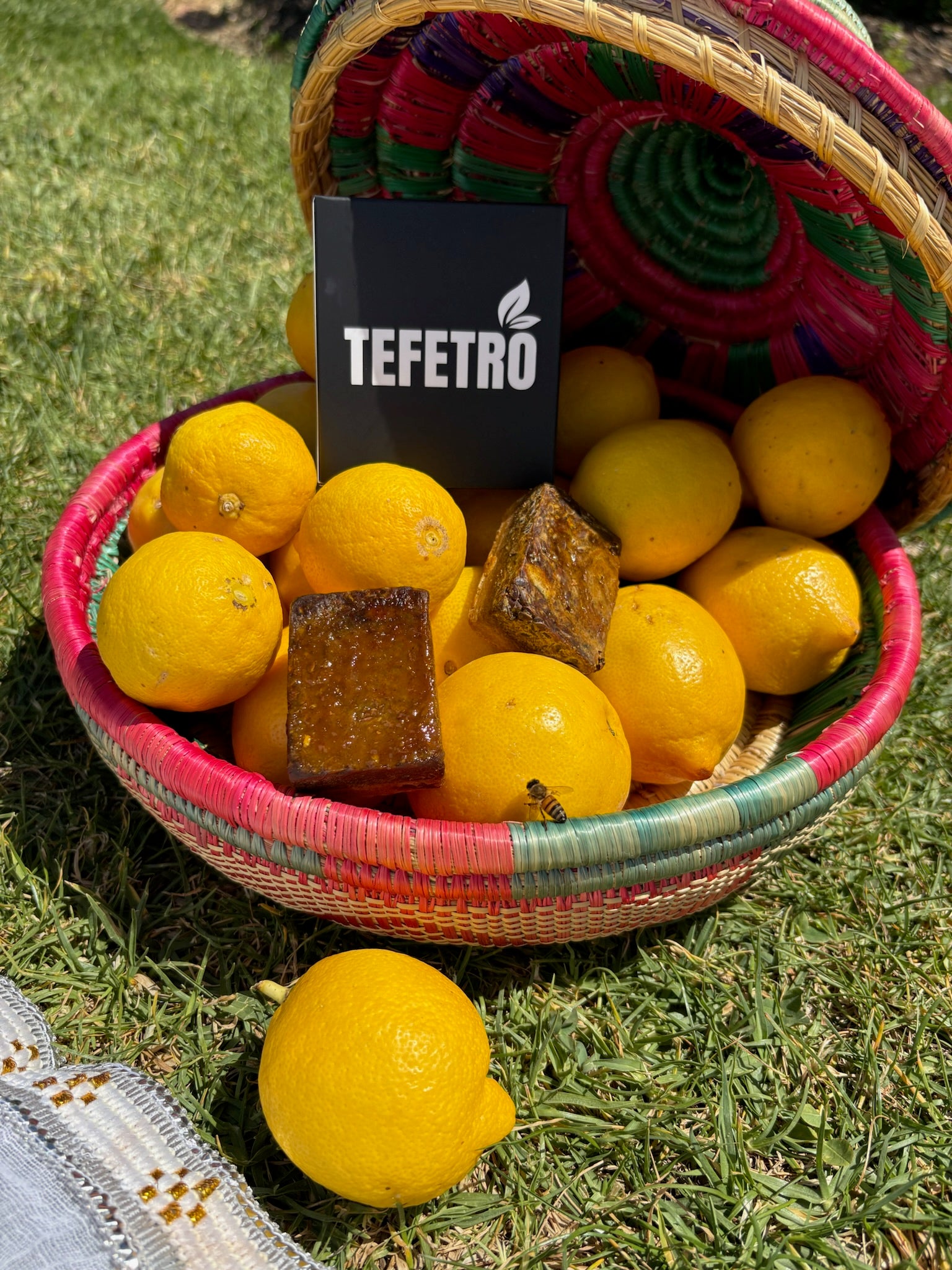 Tefetro Minis - 2 Pack